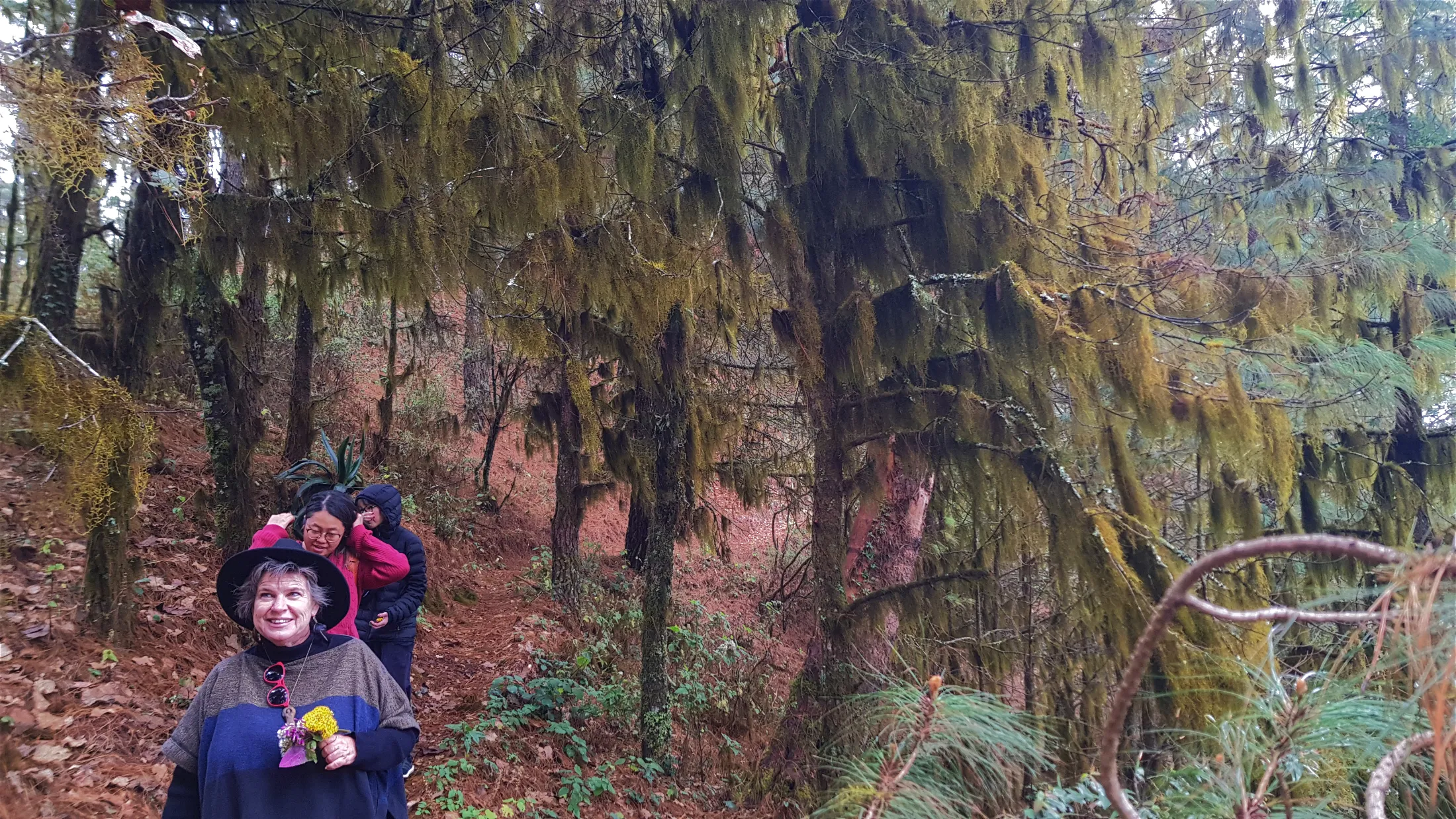 Claudia enjoying the hanging moss hiking la Cumbre/Santa Catarina Ixtepeji