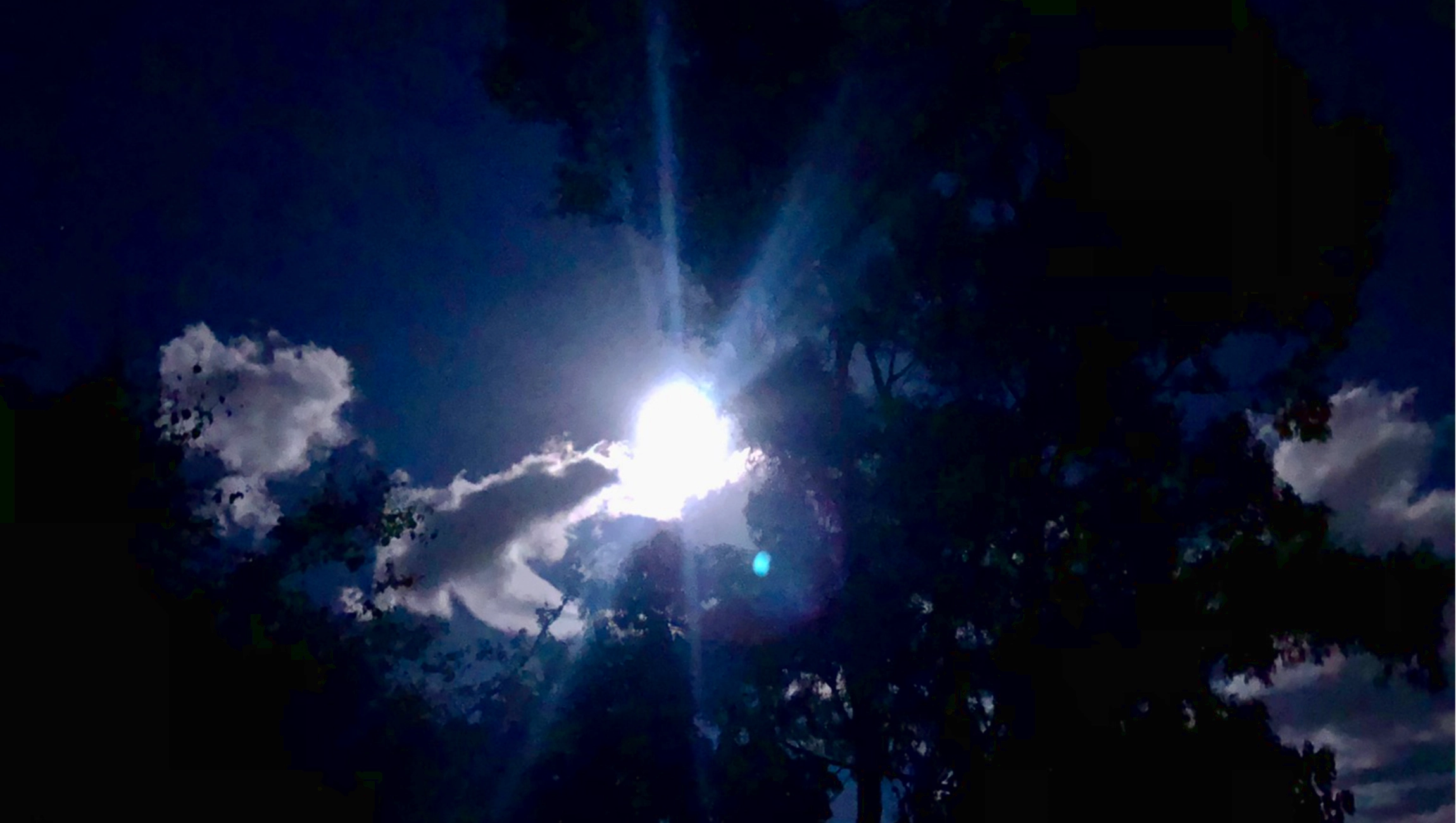 Full Moon shining on Rancho Media Luna
