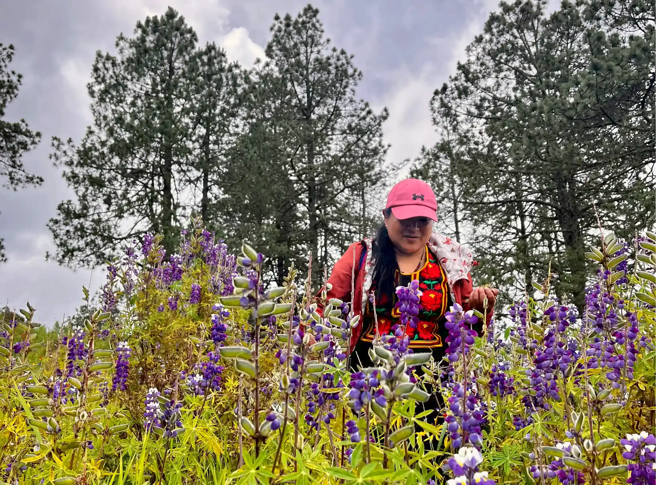 Mountain Reconnection with Ester in San Antonio Cuajimoloyas offered by Tierra Sagrada
