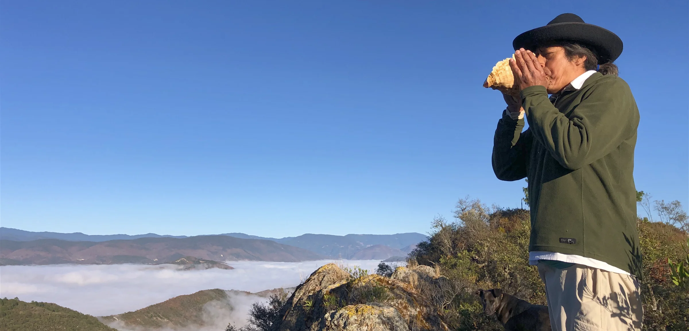 https://tierraventura.com/support Tierraventura Ecotours