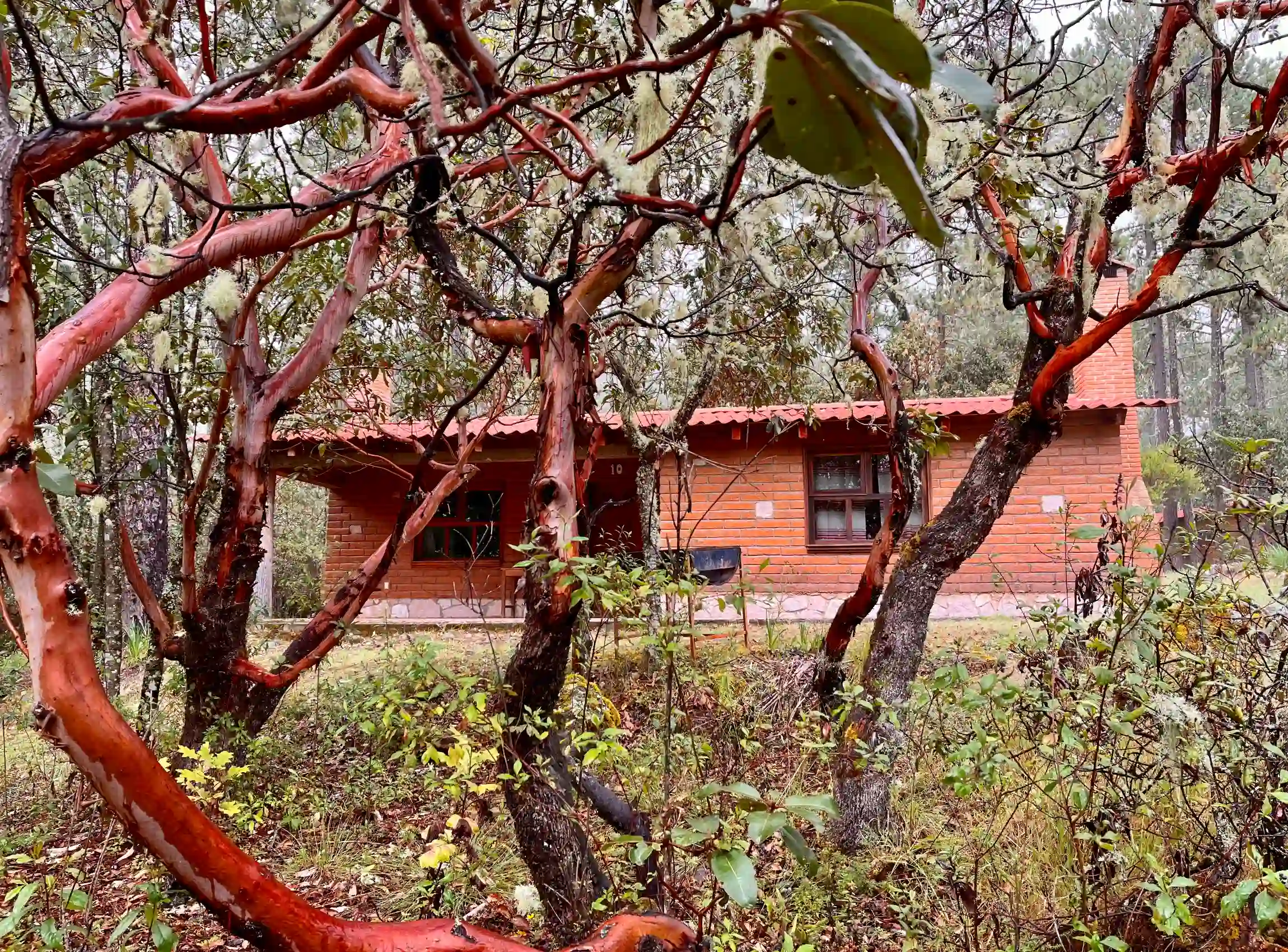 Cabañas from Llano Grande, Pueblos Mancomunados