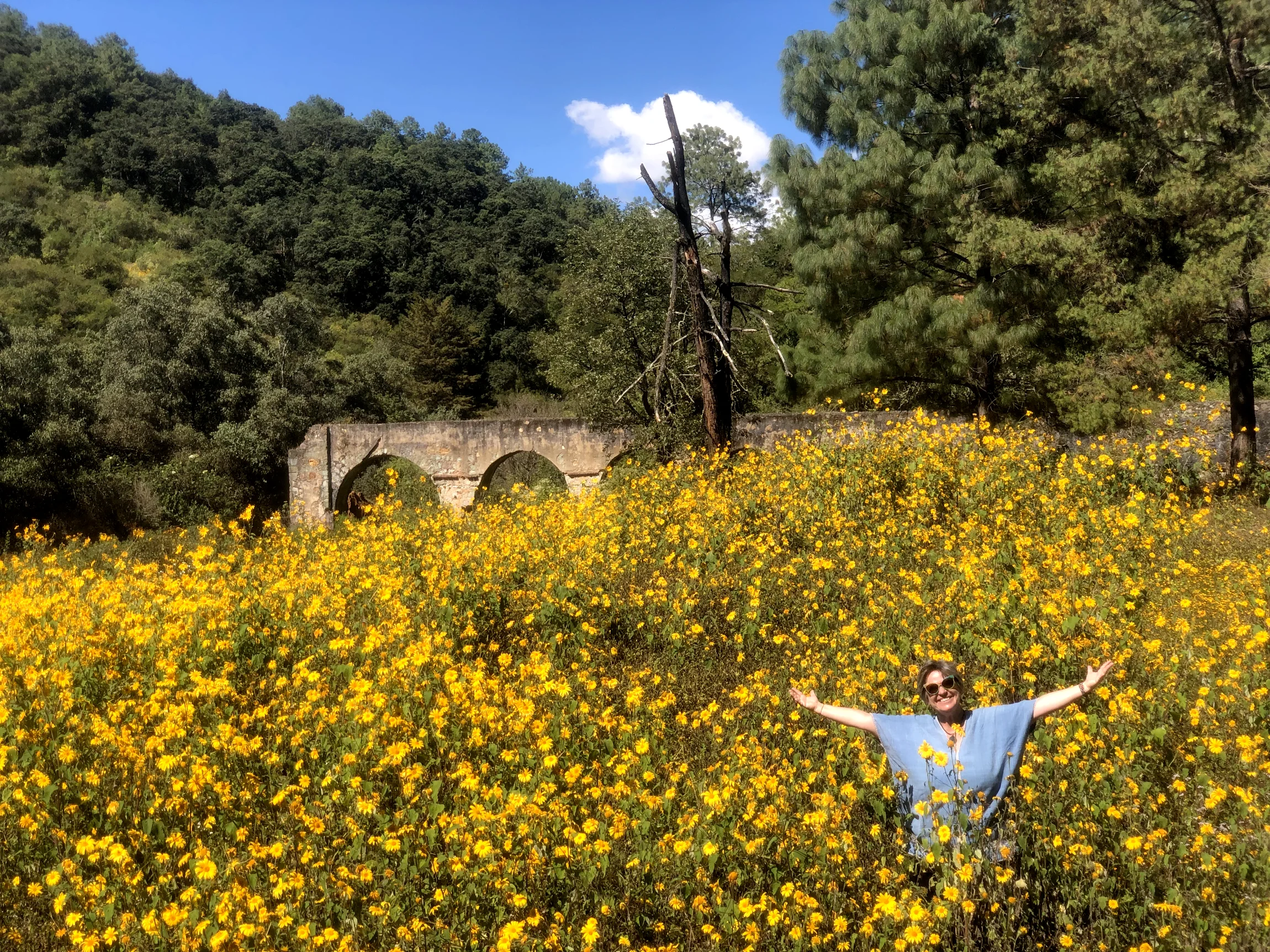https://tierraventura.com/Claudia at the Ex-hacienda 5 Señores/Pueblos Mancomunados