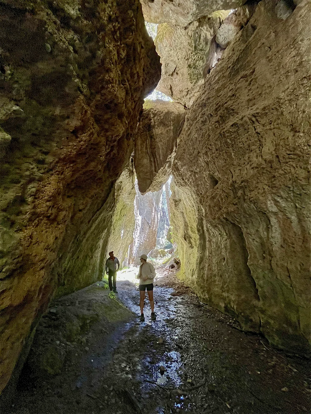 In the canyon of La Cueva de la Iglesia in Dain Roó ecotourism park of San Miguel del Valle/Sierra Norte Oaxaca