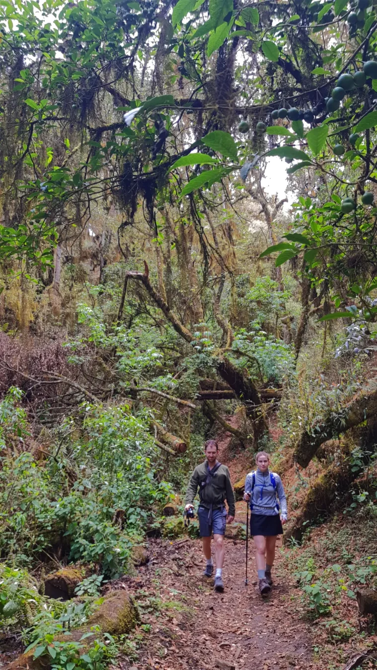 Lush valley of the hike la Cumbre/Santa Catarina Ixtepeji-2