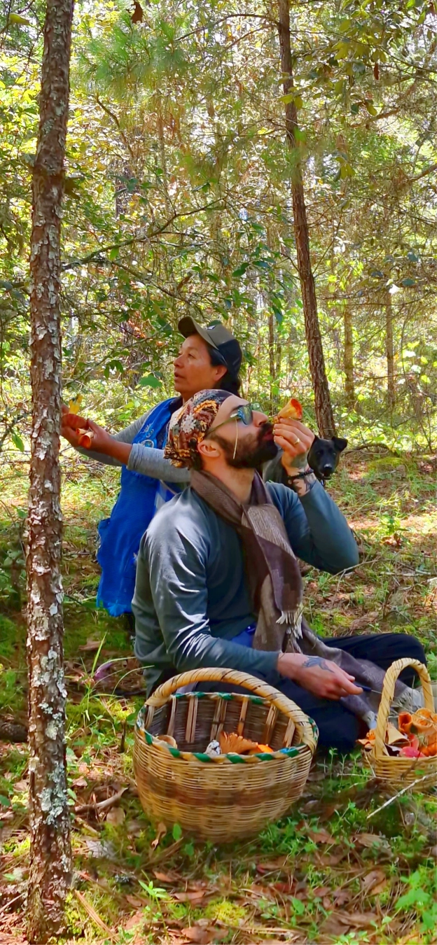 Marta and Zak foraging mushrooms during the Mycelia Oaxaca Mushroom Retreat