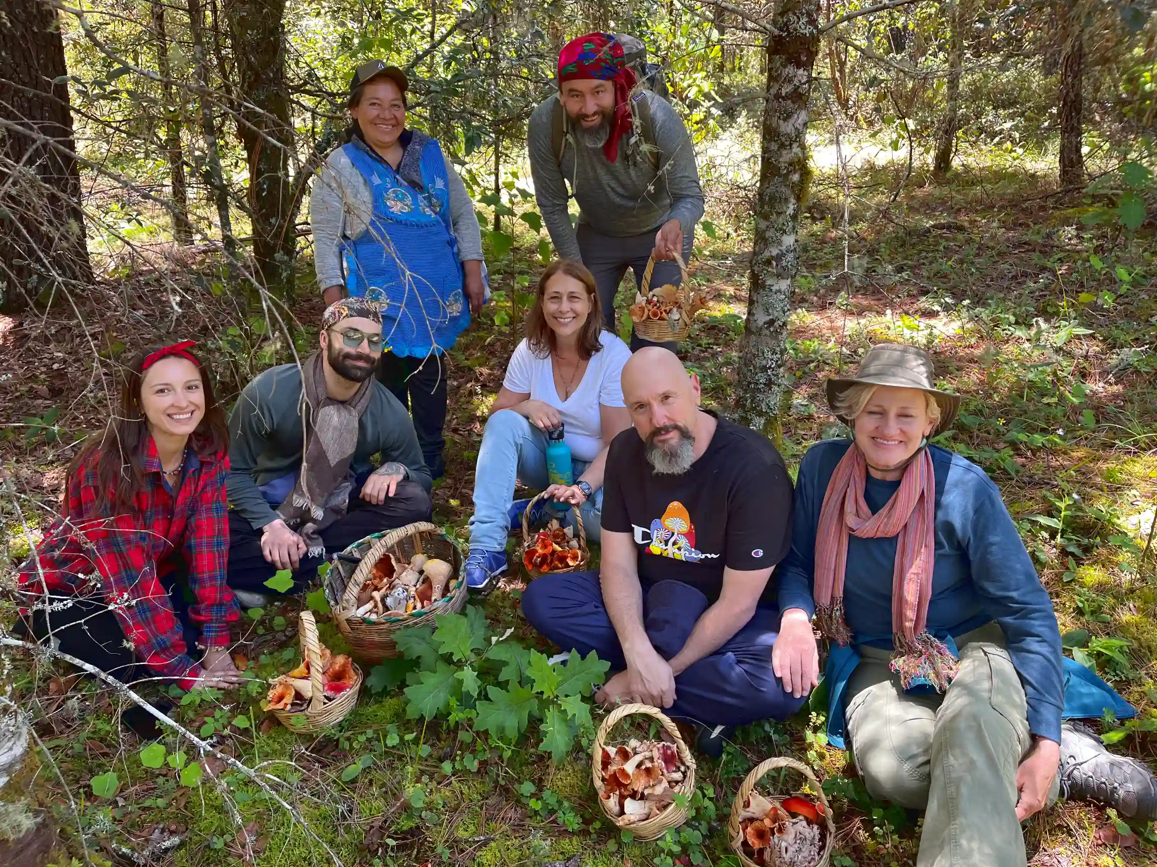 Mushroom foraging during the Mycelia journey around San Antonio Cuajimoloyas/Pueblos Mancomunados