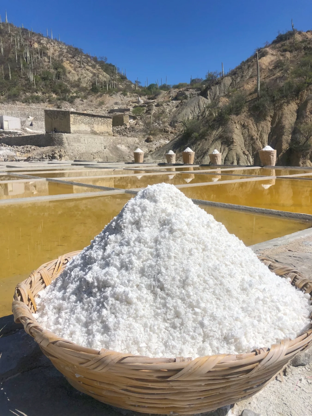 Salt production in Zapotitlan de las Salinas-2
