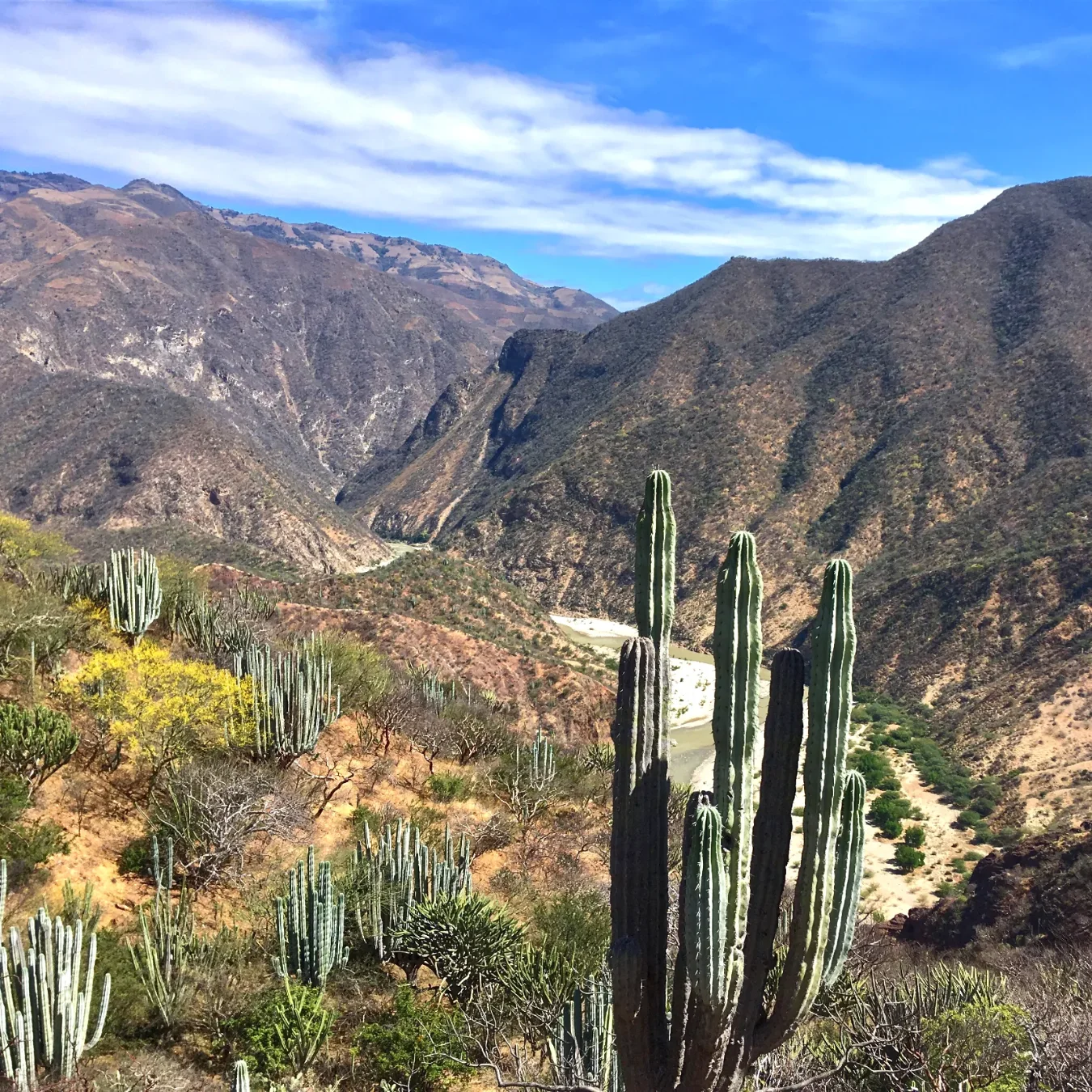 copy6a693f983866c-View of the Rio Grande Valley from The Cerro Viejo by Santiago Quiotepec
